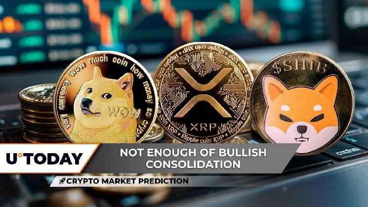 Crypto Market Prediction: Shiba Inu (SHIB) Moon Landing, Dogecoin (DOGE) Trapped in $0.23, XRP: Most Important Event for $3