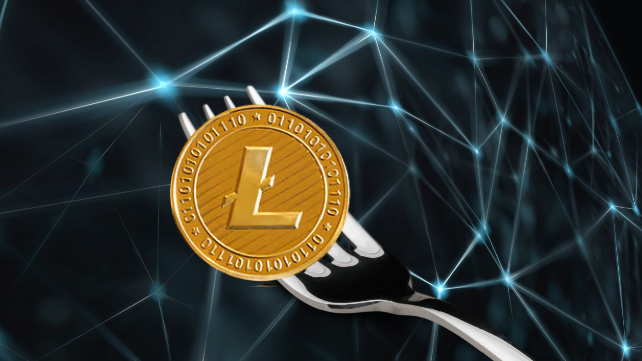 What is a Fork in Crypto? What is a Fork in Crypto?