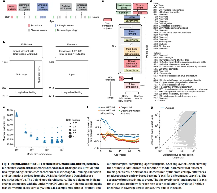 New AI System Predicts Risk of 1,000 Diseases Years in Advance