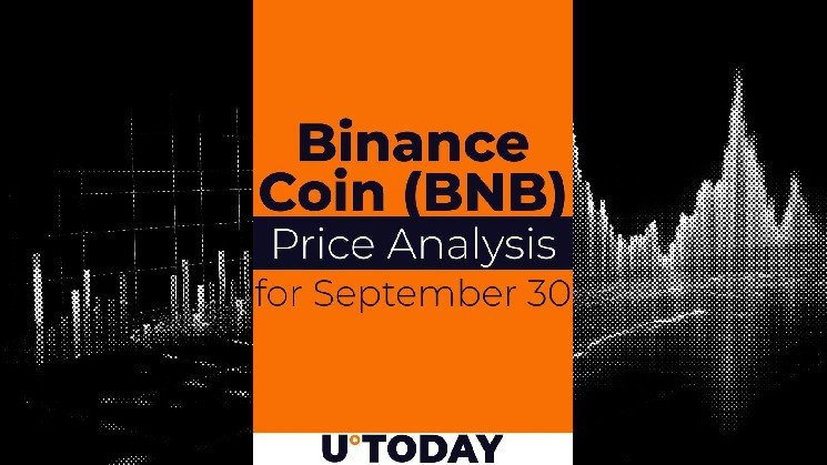 Binance Coin (BNB) Price Analysis for September 30
