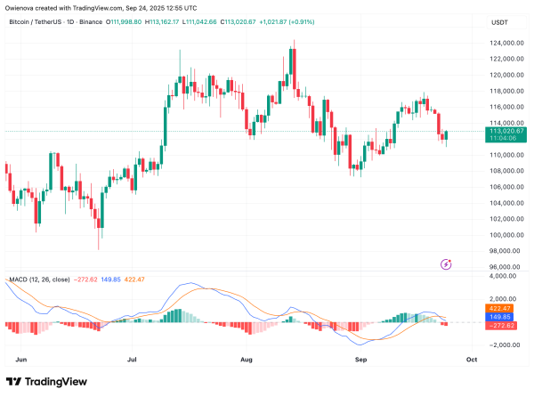 Bitcoin&rsquo;s Path Unclear As Subwave Chaos Meets Key Resistance At $113,000