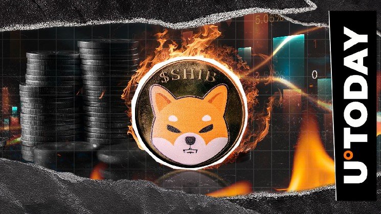 20,311,173 SHIB Burn Shakes Up Network With Massive Key Index Surge