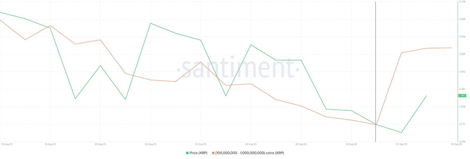 XRP Whales vs Long-Term Holders: Who Will Decide The Price Action Path?
