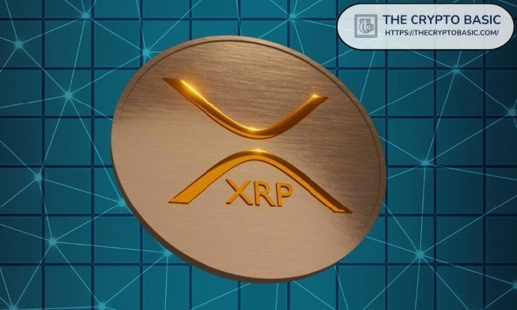 Pundit Says You Do Not Need an LLC to Hold XRP