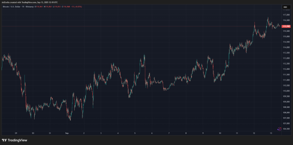 Here&rsquo;s How The Bitcoin Price Macro Correction Could Play Out Next