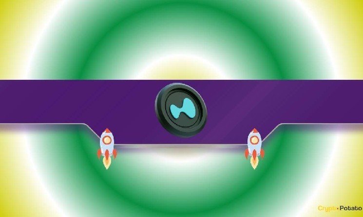 Is HYPE Set for a $50 Breakout? Chart Says Yes