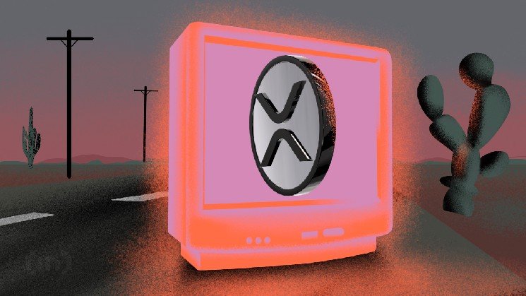 XRP Whales vs Long-Term Holders: Who Will Decide The Price Action Path?