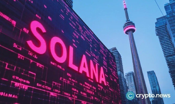 Solana price holds support at $197, why it can rally to $260 plus