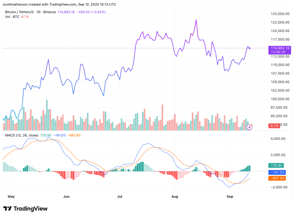 Bitcoin Price Flashes &lsquo;Rarest Signal&rsquo; Ever, Is A 100% Rally Possible?