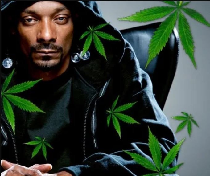 Snoop Dogg Joins Cardano Founder and Mark Cuban as Advisor and Investor in Stuff.io