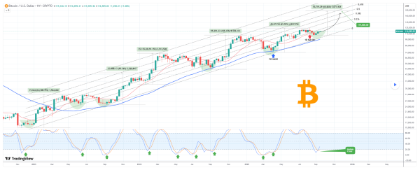 Analyst sets date when Bitcoin will hit $175,000