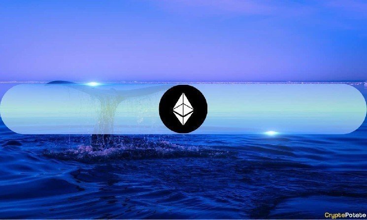 Ethereum Whales Boost Holdings by 14% in 5 Months as Price Targets $4,500