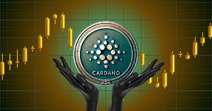 Can Cardano Overtake BNB? Analyst Sets Double-Digit Target For ADA