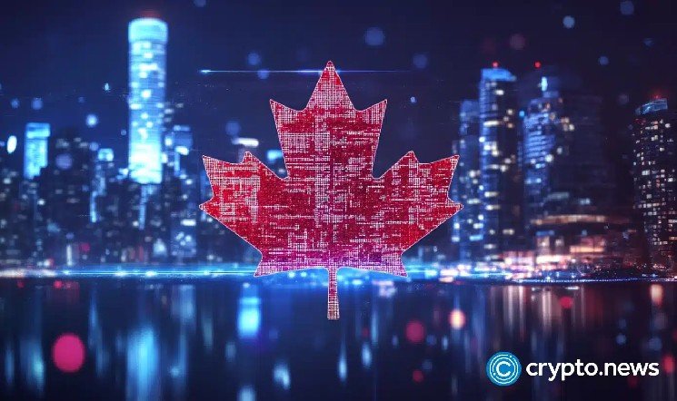 “Are you just saying you can forfeit everyone’s balances?” — the fallout from Canada’s first dismantled exchange, TradeOgre “Are you just saying you can forfeit everyone’s balances?” — the fallout from Canada’s first dismantled exchange, TradeOgre