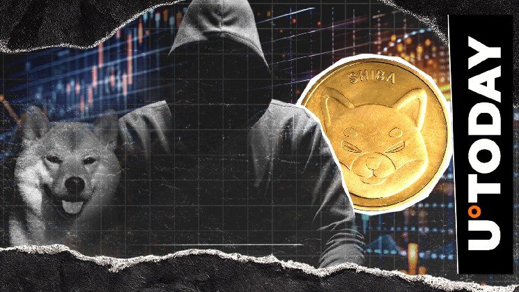 What's Next for Shiba Inu? Shytoshi Kusama Reveals Key Focus