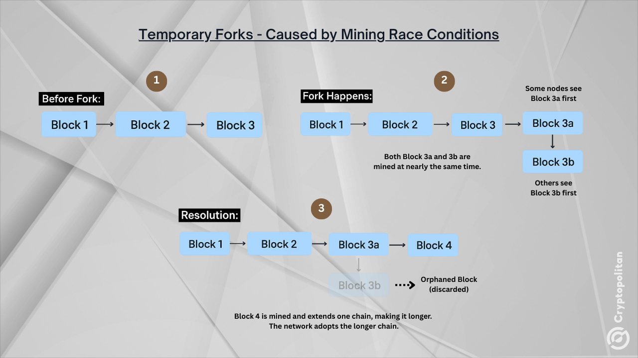 What is a Fork in Crypto? What is a Fork in Crypto?