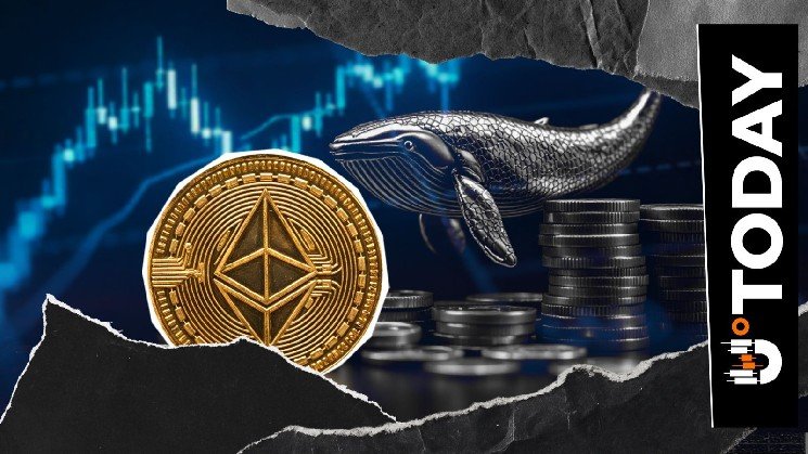 Ultra Ethereum Whale With $2,890,000,000 Just Made Deposit Ultra Ethereum Whale With $2,890,000,000 Just Made Deposit
