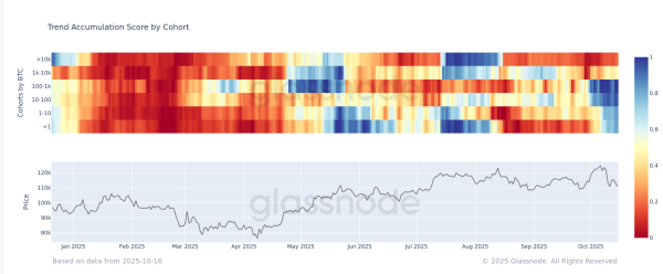Bitcoin Faces Heavy Selling Pressure Despite Seasonal Bullish Expectations