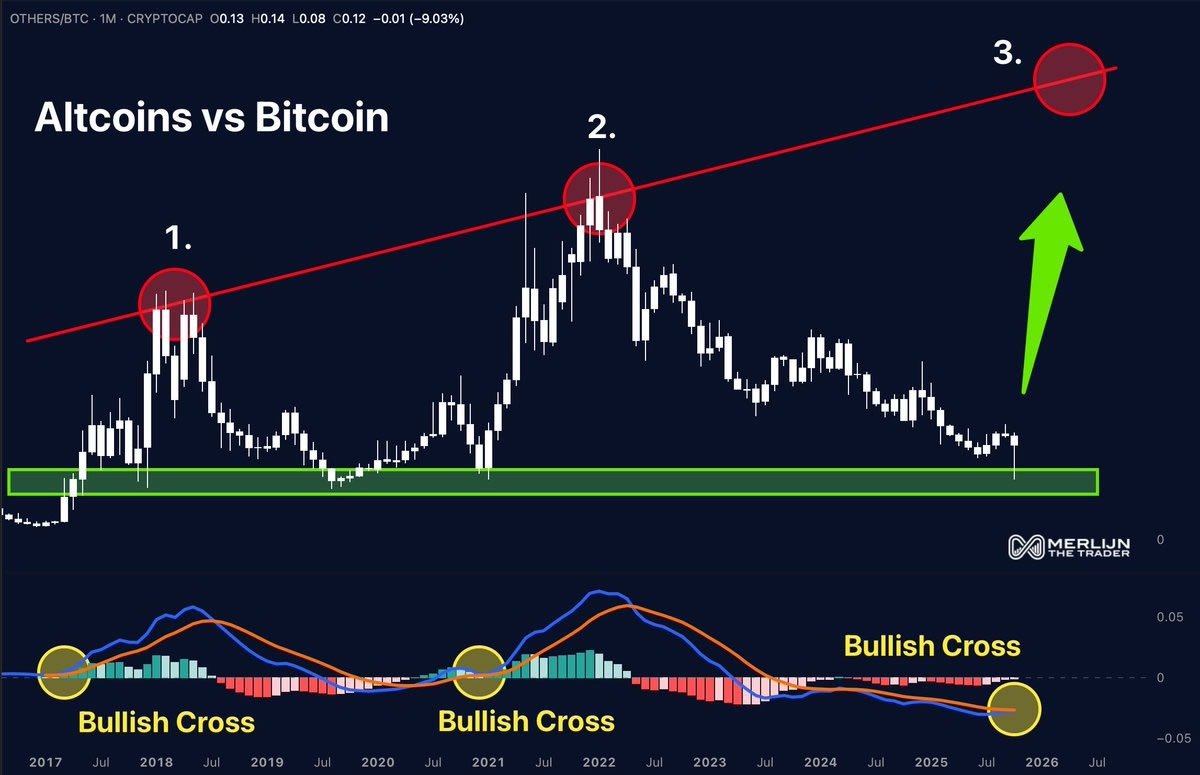 Altcoins typically dump hard before altseason. Will history repeat? Altcoins typically dump hard before altseason. Will history repeat?