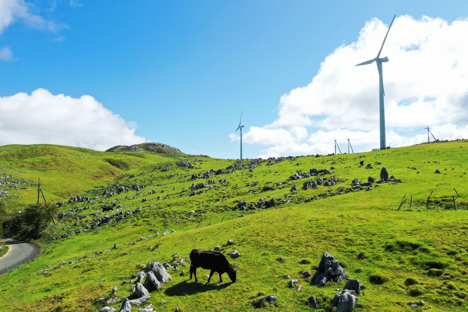 Japan&rsquo;s Local Governments Use NFTs for Regional Revival & Tourism