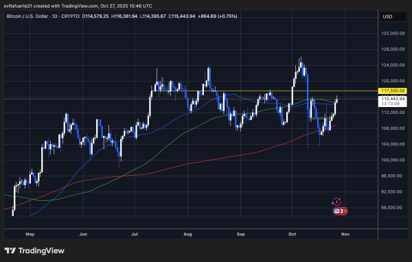Bitcoin Supply In Profit Rises To 83.6% &ndash; Market Momentum Building Again