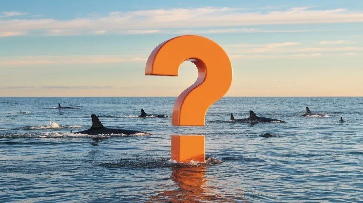 The Giant Whale Who Knew About the Last Crash and Earned $160 Million Opened a Short Position in Bitcoin Again! – Two Giant Whales... The Giant Whale Who Knew About the Last Crash and Earned $160 Million Opened a Short Position in Bitcoin Again! – Two Giant Whales...