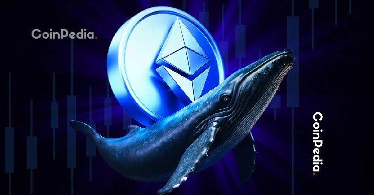 Ethereum Whale Moves $138 Million to Bitfinex &mdash; What&rsquo;s Behind It?