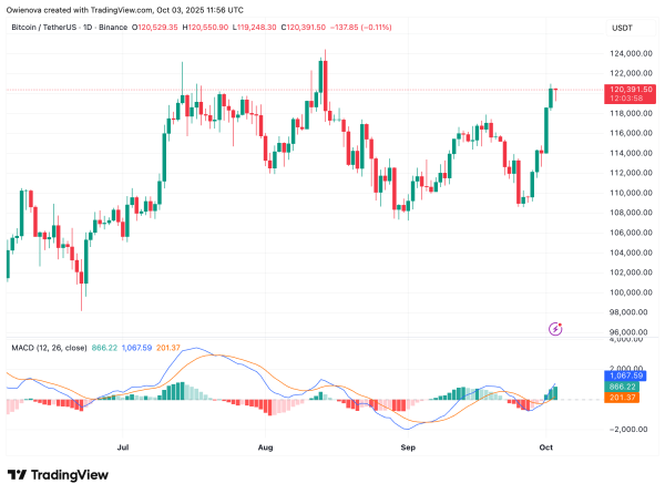 Bitcoin Capital Flow Must Enter The Network Before Global Dominance &mdash; Here&rsquo;s What Will Happen