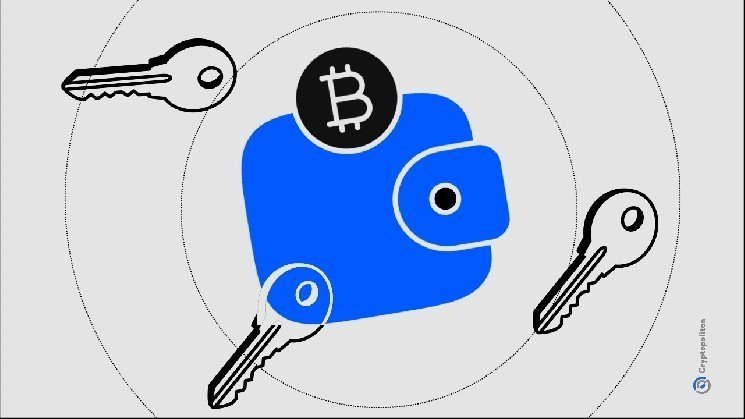 What Is a Multisig Wallet in Crypto?