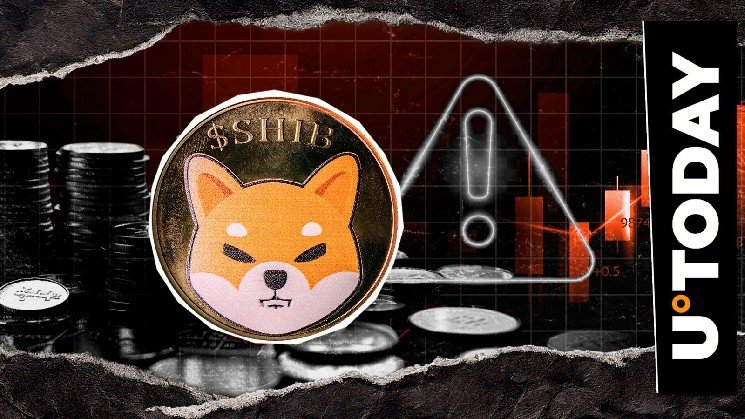 Critical SHIB Alert Issued as Real Shiba Inu Token Scam Targets Wallets