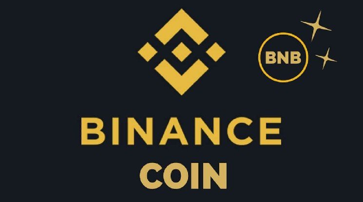 Bitcoin Exchange Binance's Native Token BNB Reaches All-Time High! Here Are the Details