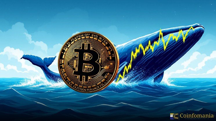 ETH Whale Short Shocks Market with $329 Million Bet