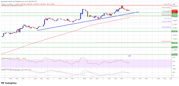 Bitcoin Price Surges To New Peak &ndash; What Could Fuel The Next Leg Up?