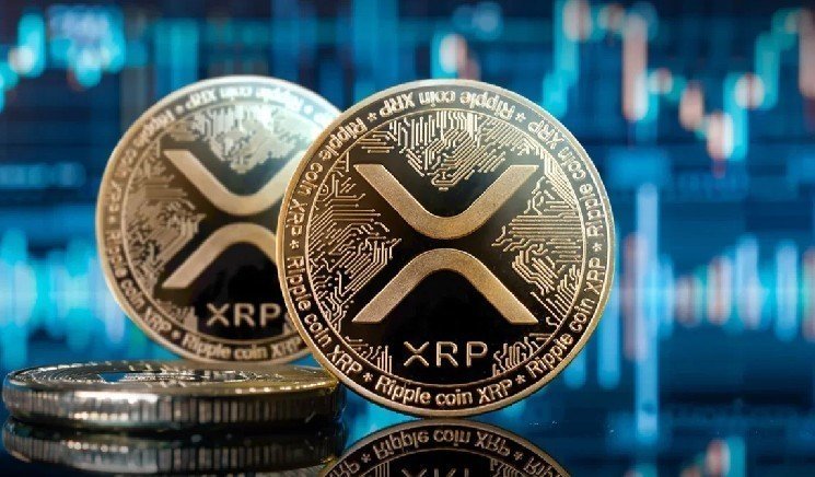 Digital Asset Management Company Evernorth Holdings Becomes One of the Largest XRP Whales! Here Are the Details