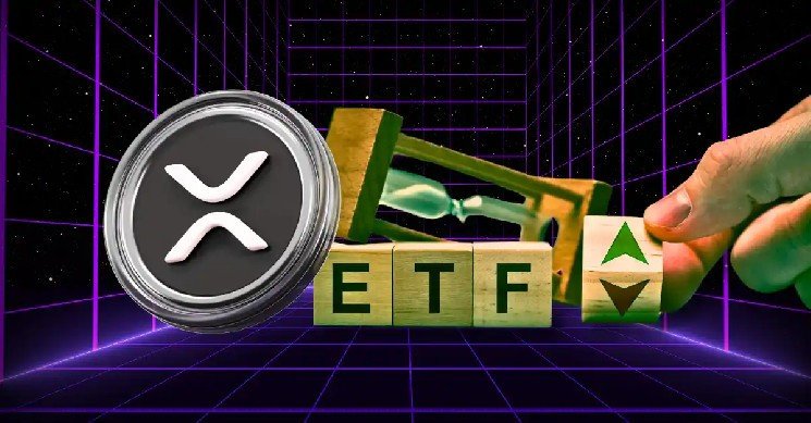 Ripple News: XRP ETF Approval Nears as Public Companies Hold $11.5B in XRP