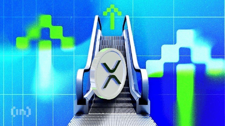 XRP Whale Count Hits An All-Time High Amid Market Turmoil