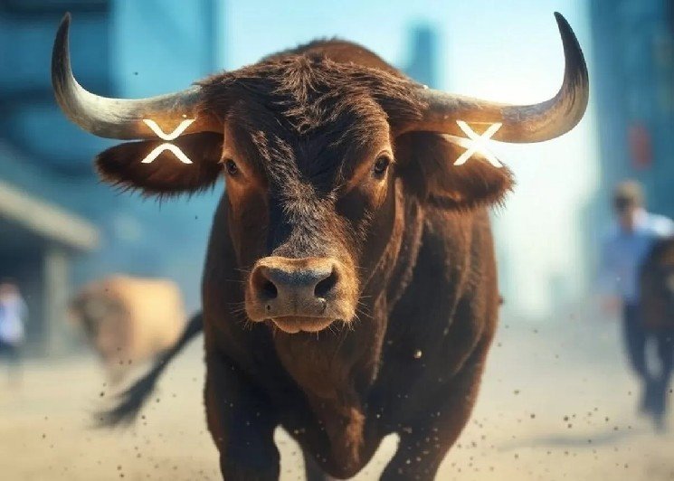 Bitwise Investment Chief Expects a Major Record for XRP &ndash; &ldquo;The XRP Army&hellip;&rdquo;