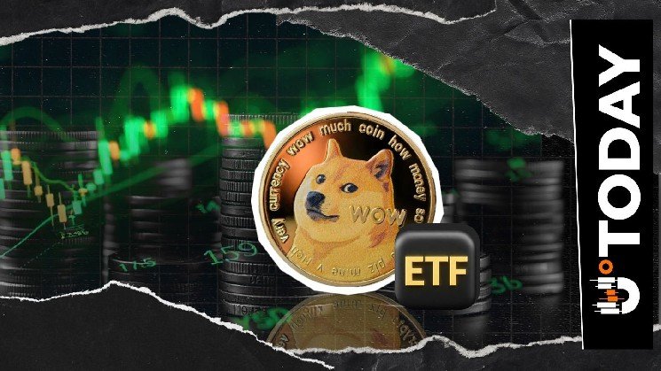 Dogecoin Liquidation Imbalance Rockets 165,815% Despite Volume Slip