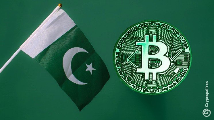 Illegal crypto activity drains $600 million from Pakistan