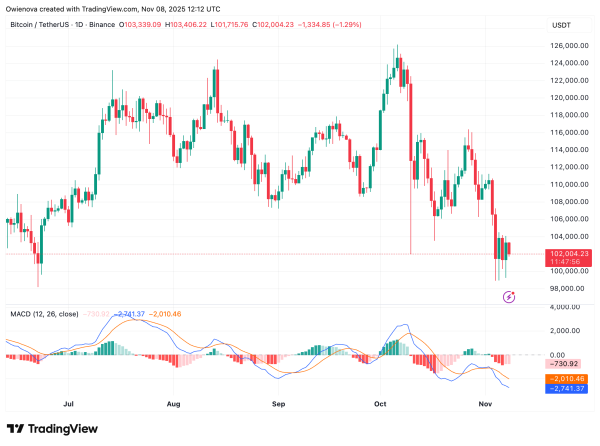 Bitcoin Bounces From $100,000 — Bullish Reversal Or Another Trap? Bitcoin Bounces From $100,000 — Bullish Reversal Or Another Trap?