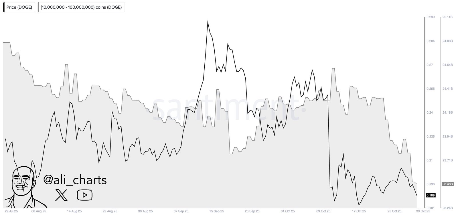 Dogecoin Plunges To $0.18 As Whales Sell 440 Million DOGE