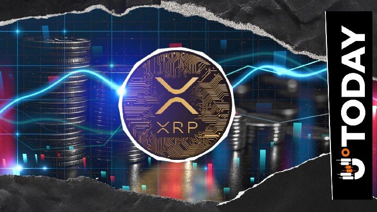 Next 24 Hours Crucial for XRP Ledger: Reason