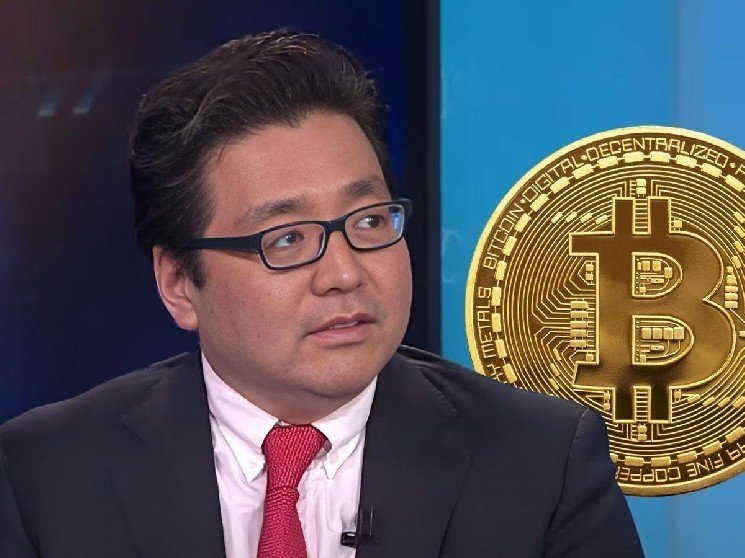 Big Bull Tom Lee Predicts When Bitcoin and Altcoins Might Recover &ndash; &ldquo;Sharks Are Swarming&rdquo;