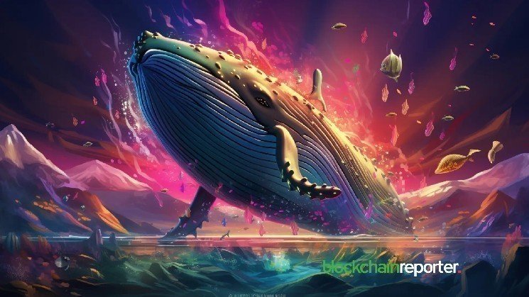 Whale Buys 1.47 Million VEIL Tokens in Three Days, Signals Surging Institutional Confidence on This Undervalued Token Whale Buys 1.47 Million VEIL Tokens in Three Days, Signals Surging Institutional Confidence on This Undervalued Token