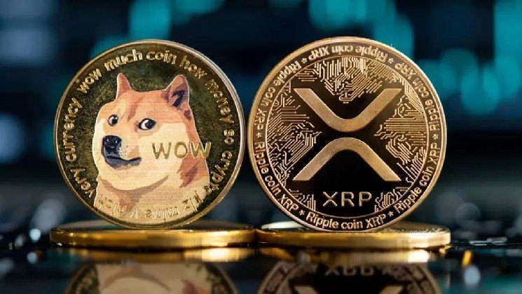 Tomorrow is the Anticipated Day for XRP and Dogecoin – Here’s What to Expect Tomorrow is the Anticipated Day for XRP and Dogecoin – Here’s What to Expect