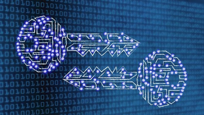 &lsquo;Privacy Is the Immune System of Freedom&rsquo;: Crypto Advocacy Sparks Uproar in S&atilde;o Paulo 