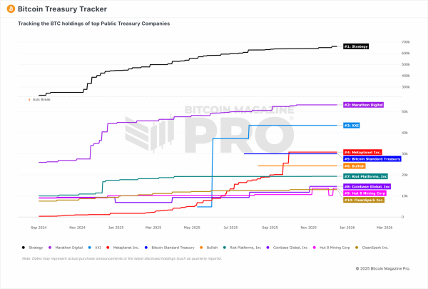 Bitcoin Treasury Companies Are Undervalued