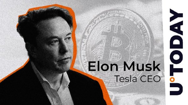 'True Currency': Did Elon Musk Just Describe Bitcoin?