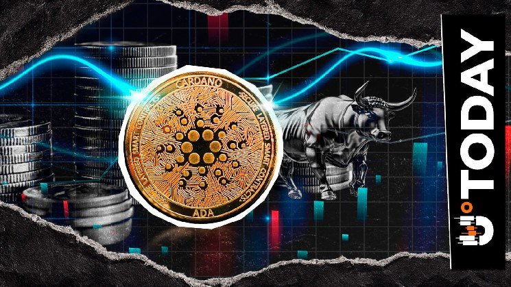 Cardano's 1,303% Liquidation Imbalance Leaves Bulls Stunned: Details