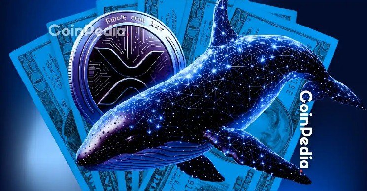 XRP Rich List Revealed: Are Retail Investors Being Priced Out?